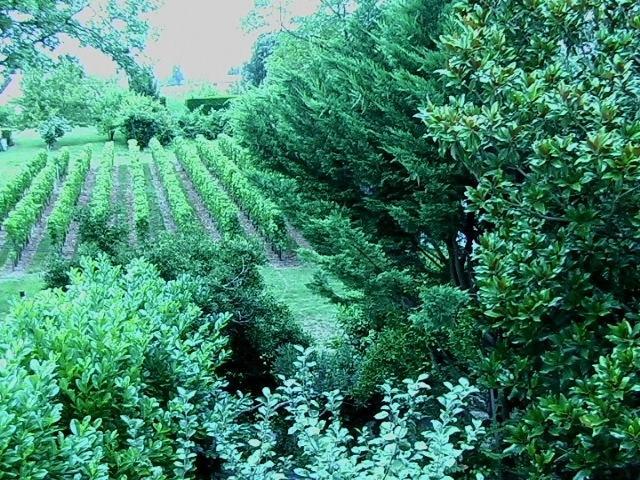 Bed and Breakfast Les Id De Saint Emilion Exterior foto